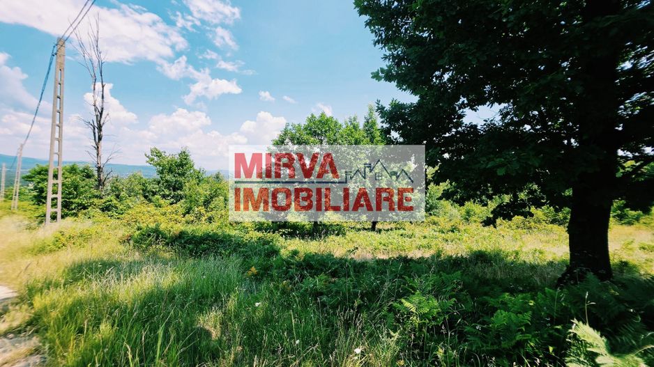 Teren extravilan 1.667 mp cu vedere panoramică – Dealul Ținea, Băicoi - Poză 3