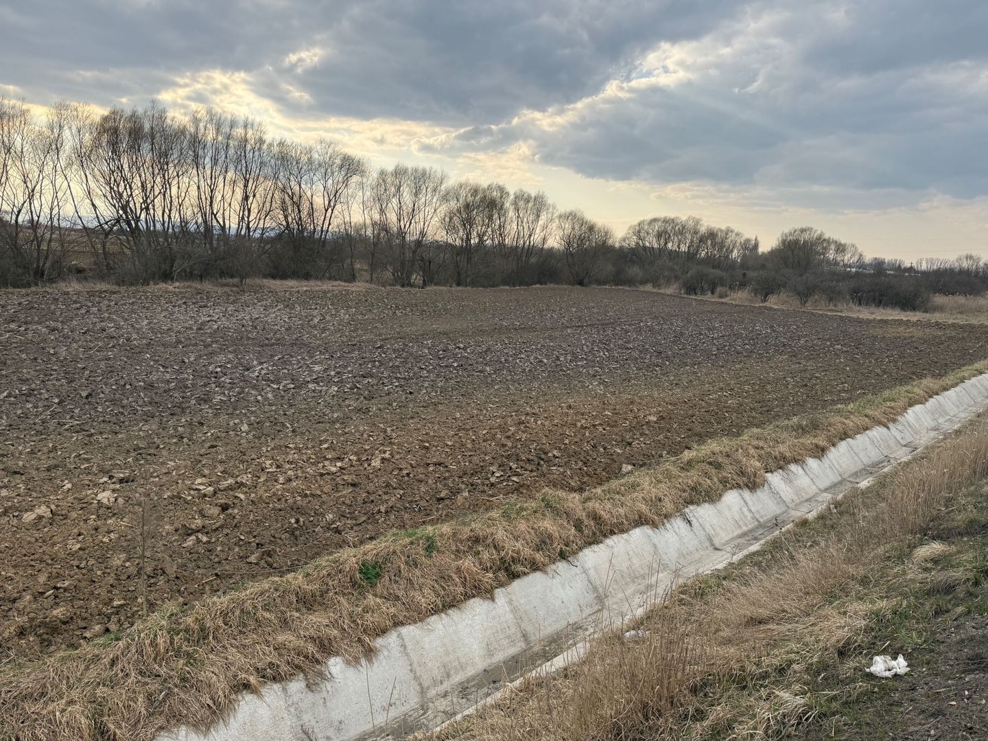 Teren extravilan | Rădăuți | 36 ARI - Poză 7