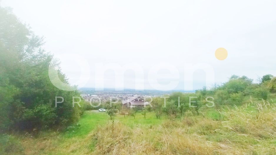 Teren 58 arii cu deschidere la drumul principal – Miron Costin - Poză 2