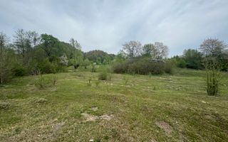 TEREN EXTRAVILAN 40000 MP, ALBESTI DE MUSCEL, CANDESTI - Poză 9