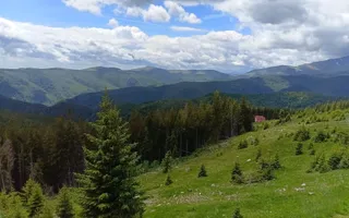 Cabană P+M de vânzare în Rânca - Poză 26