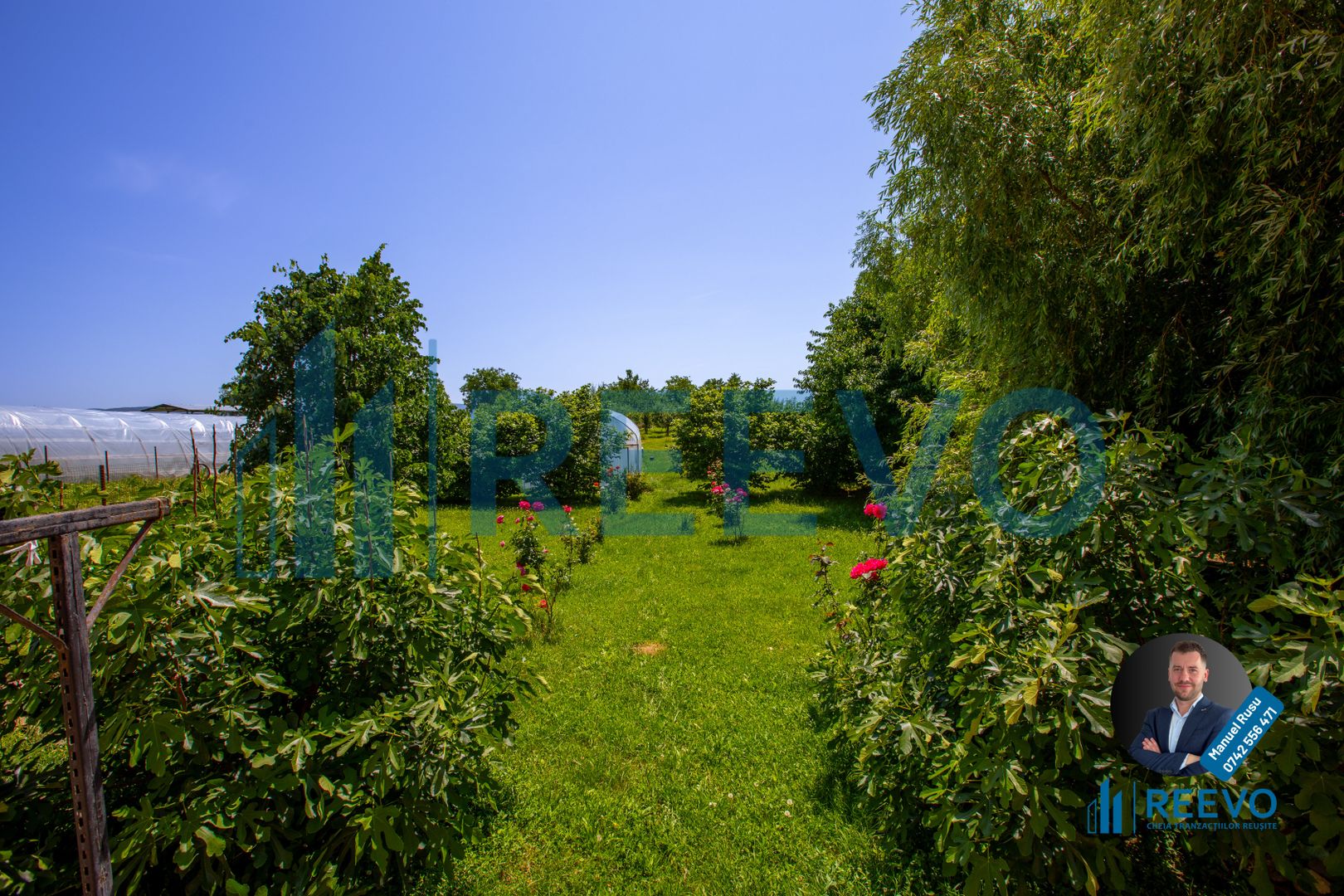 Casǎ de vânzare 200 mp în Letea Veche - Poză 4