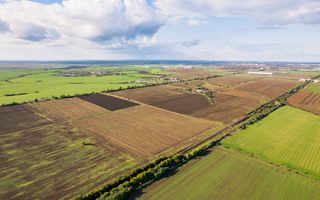Teren de 200000 mp în Arad - Poză 5