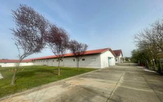 Spatii comerciale pentru activitati diverse - Dumbravita, central - Poză 9