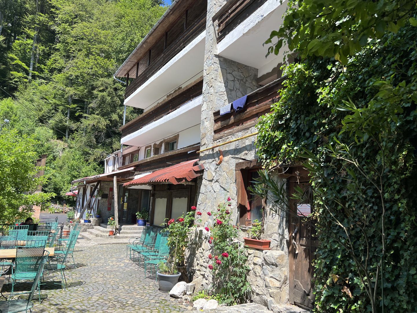 Pensiune Club Predeal - Poză 4