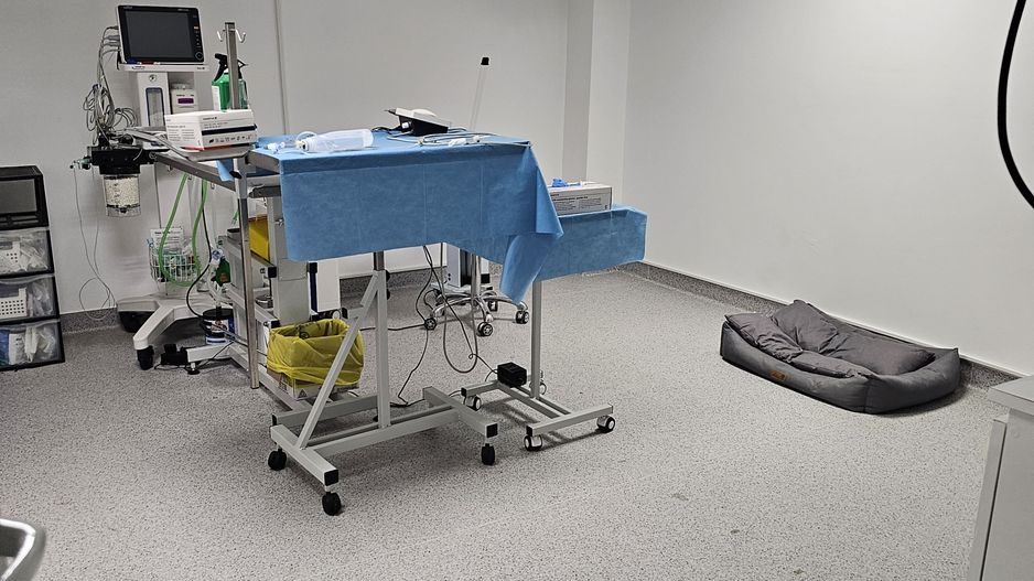 OCAZIE Spatiu Comercial Herastrau/Aviatiei - Poză 11