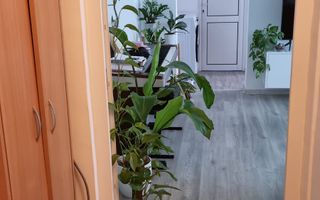 Apartament cu 2 camere, zona Zimbru, Iași - Poză 7