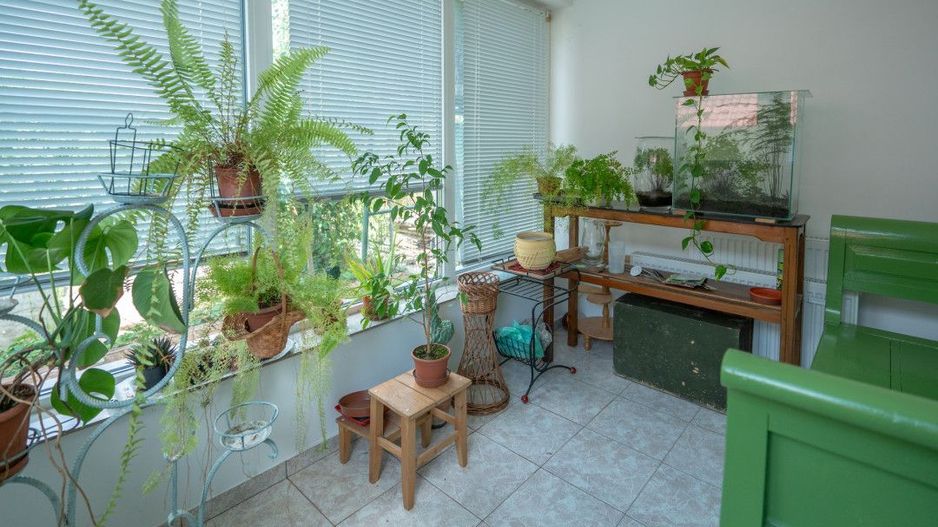 De Vânzare Casă Vânătorilor 9 ari teren - Poză 20