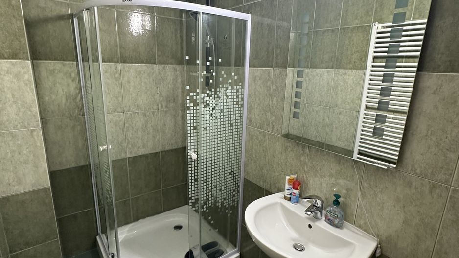 Proprietate cu piscina Dumbravita - Poză 24