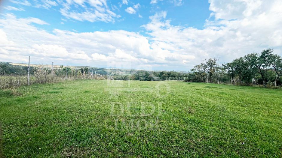 Casa de vanzare si teren de 3000mp in satul Calea Mare, Bihor - Poză 5