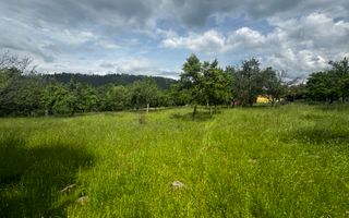 TEREN INTRAVILAN 4600 MP, VOINESTI, LERESTI, ARGEȘ - Poză 2