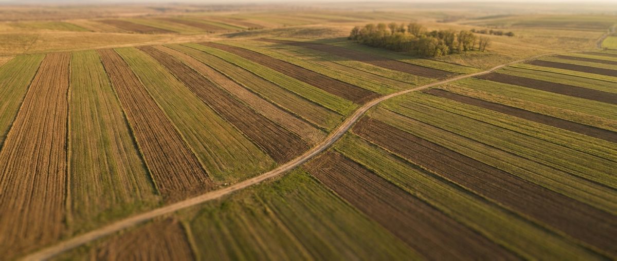 Cum vinzi un teren agricol în extravilanul comunelor din Argeș în 2026: preempțiune, avize și termene