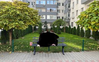 Comision 0% APARTAMENT 2 CAMERE - BD. METALURGIEI / DRUMUL BINELUI - Poză 7