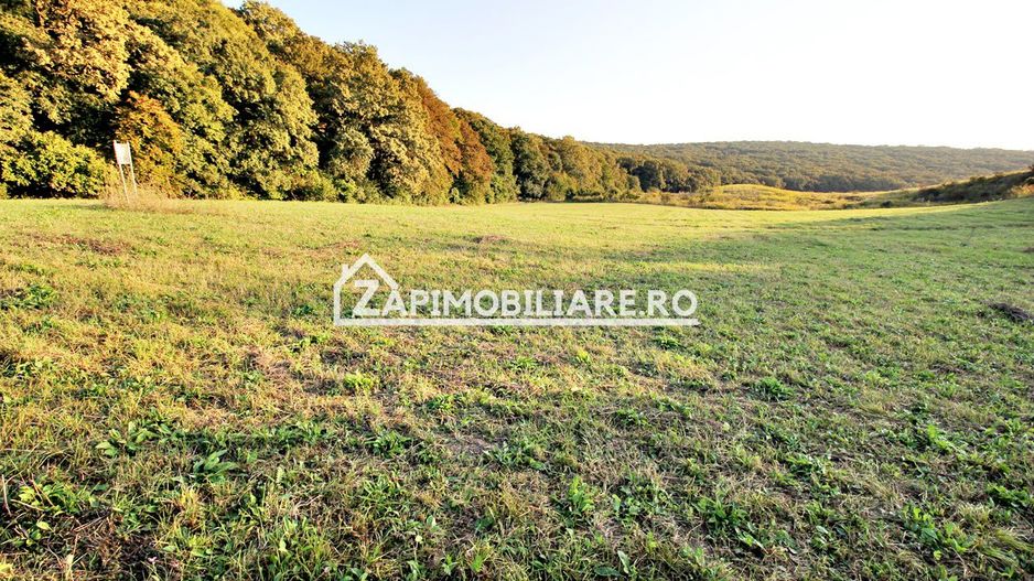 De vanzare 2 terenuri de 29.500 mp si 1.400 mp.29 euro mp - Poză 2