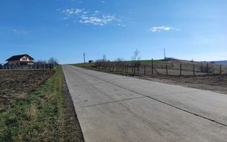 Teren de vânzare în Rediu-Horlești, 7850 mp, cu deschidere la DJ 248b, parcelabil - Poză 2