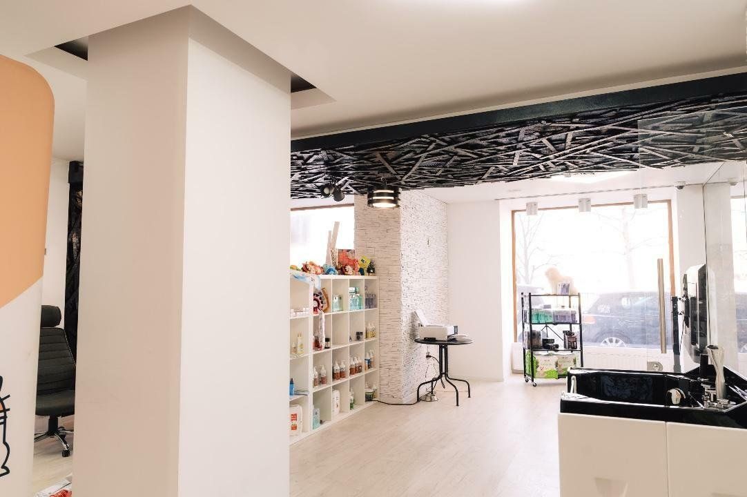 SPAŢIU VERSATIL DE VÂNZARE / ÎNCHIRIERE 211mp. Sect3. - Poză 5