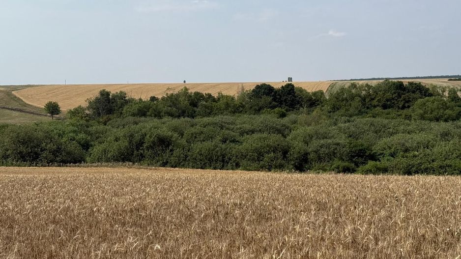 Teren intravilan Miersig, vedere la lac. 12,5 E/mp neg. Comision 0 - Poză 12