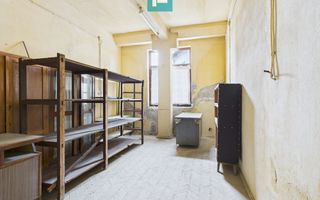 Spațiu de producție cu 4 camere în Periam - Poză 5