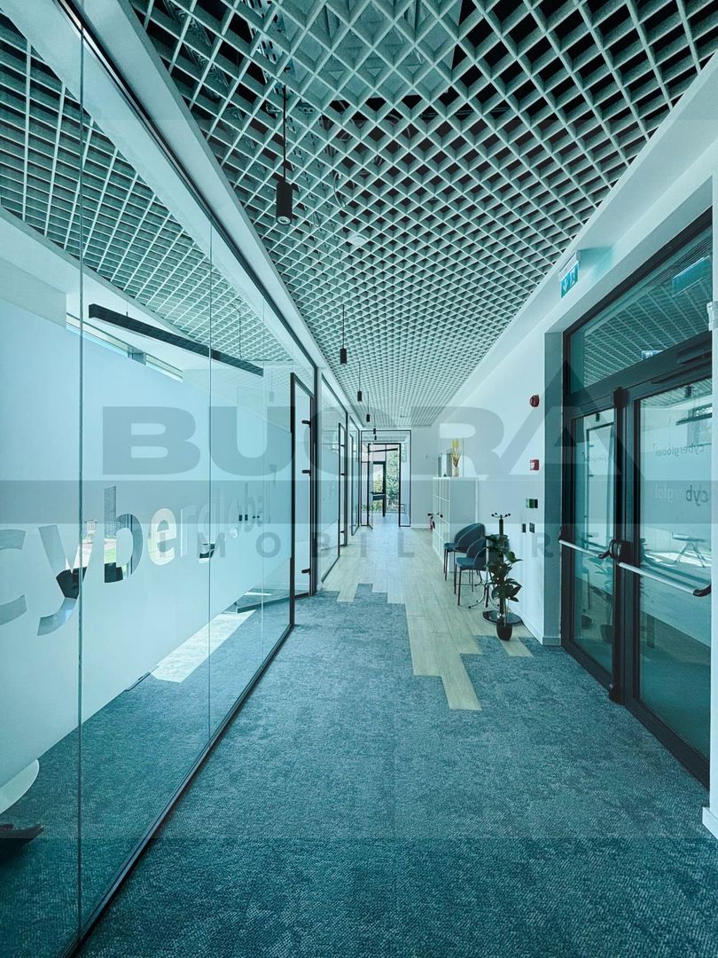 Spatiu de birou premium 335 mp - zona Brancusi - Poză 10