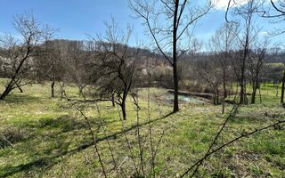 Teren Govora / 8131mp - Poză 7