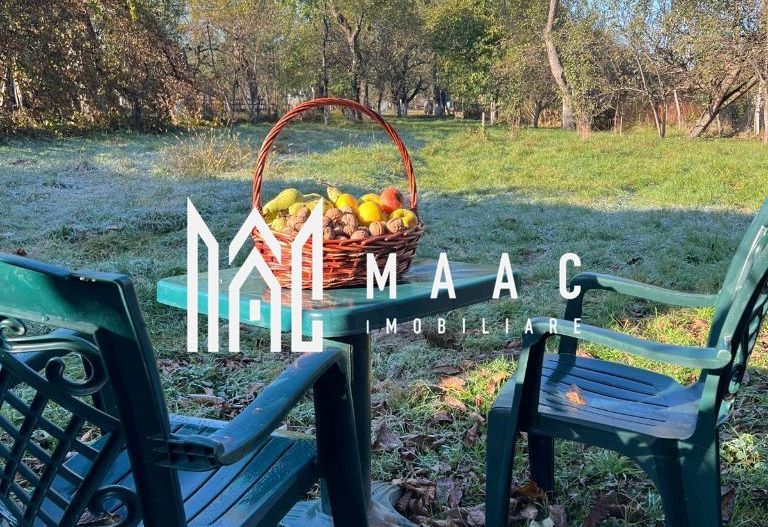 Casă 3 camere I 1500 MP Teren I Porumbacu de Sus - Poză 7