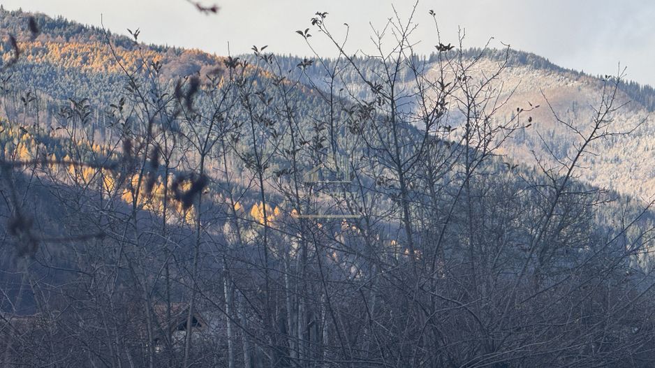 VILA 4 CAMERE, LERESTI, TEREN 3489 MP COMISION 0% CUMPARATOR - Poză 61