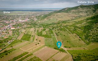 Teren extravilan - 3654 mp Dealul Șiriei - Poză 1