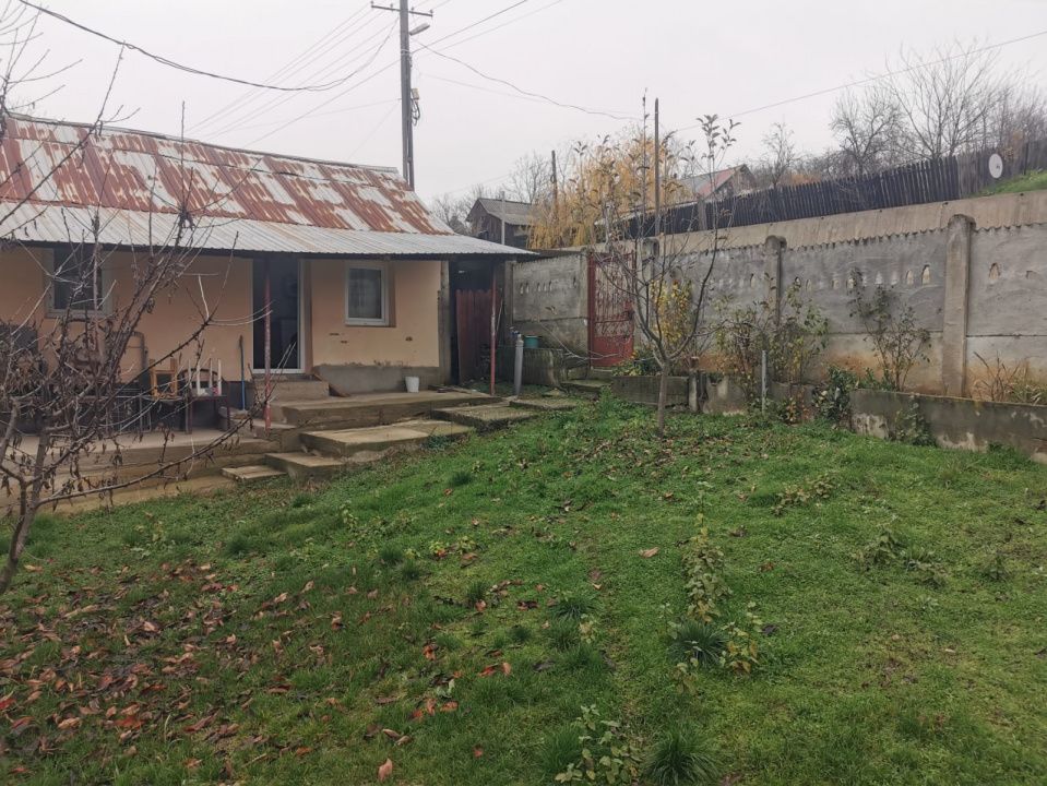 De vanzare casa in Argetoaia cu teren 7.000 mp - Poză 1