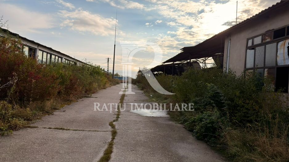 Fermă Sărand | Bihor | 25.659 mp teren intravilan - Poză 8
