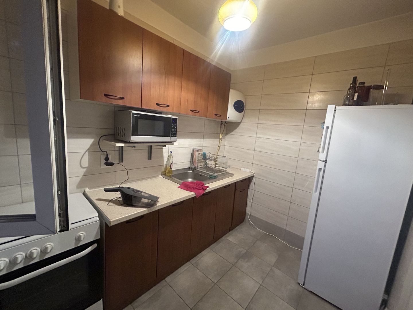 2 Camere Calea Grivitei Pet Friendly - Poză 8