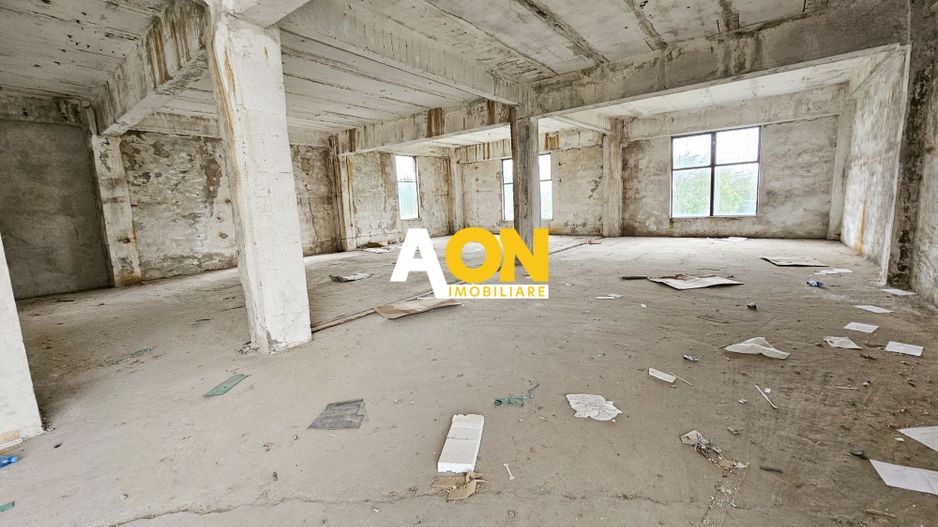 Spatiu industrial pentru productie sau depozitare, 1600 mp, Sebes - Poză 20