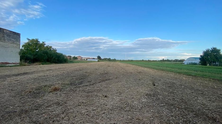 Terenuri de vânzare Boldur - Poză 4