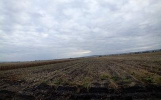 TEREN | Radauti | 6.000 mp | 62.800 EURO - Poză 5