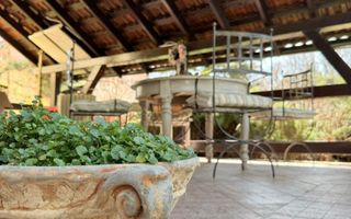 Vila spectaculoasa Corbeanca *padure proprie si piscina - Poză 33