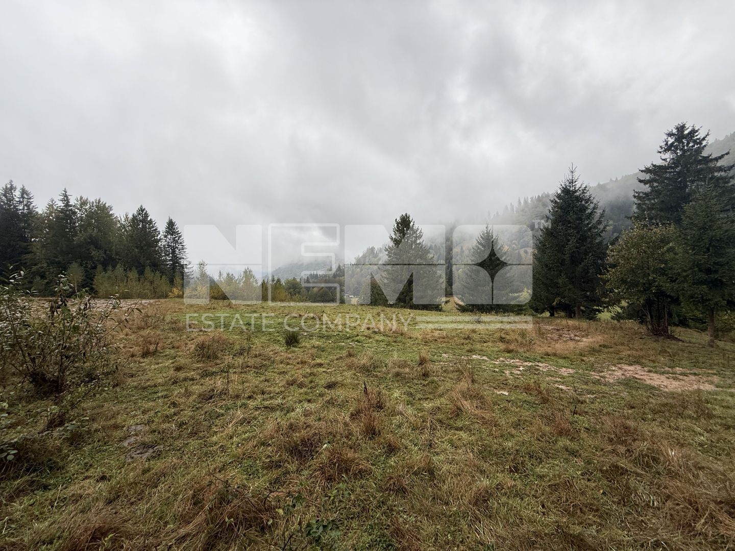 Teren Extravilan | 6.100 mp | Brodina | 41.500 € negociabil - Poză 1