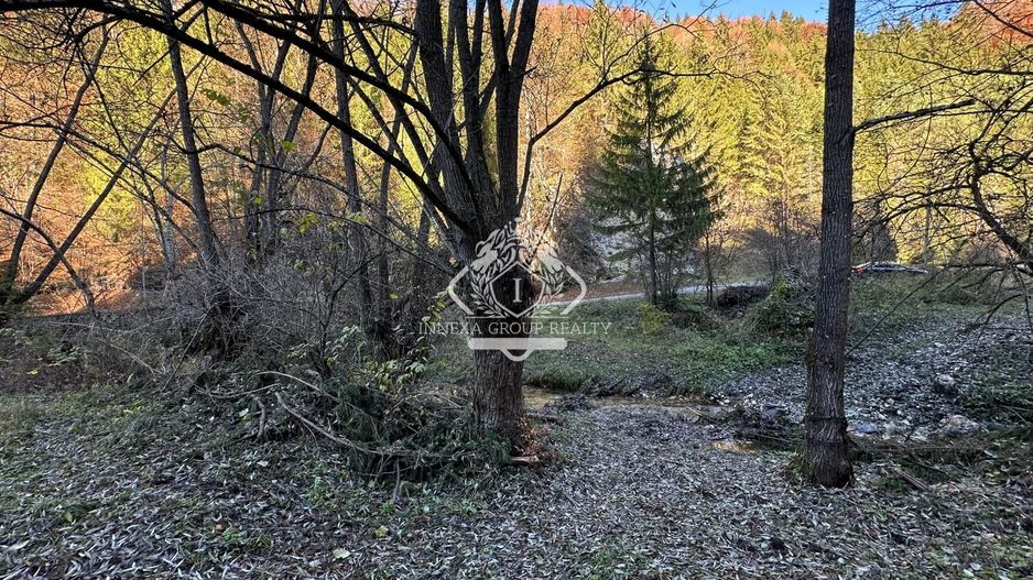 Teren 2.882 mp – oportunitate investitie - Cheile Dâmbovicioarei - Poză 12