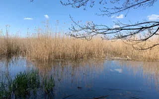 Teren 2000 mp de vânzare – Comana, deschidere la lac, aproape de Parcu - Poză 13