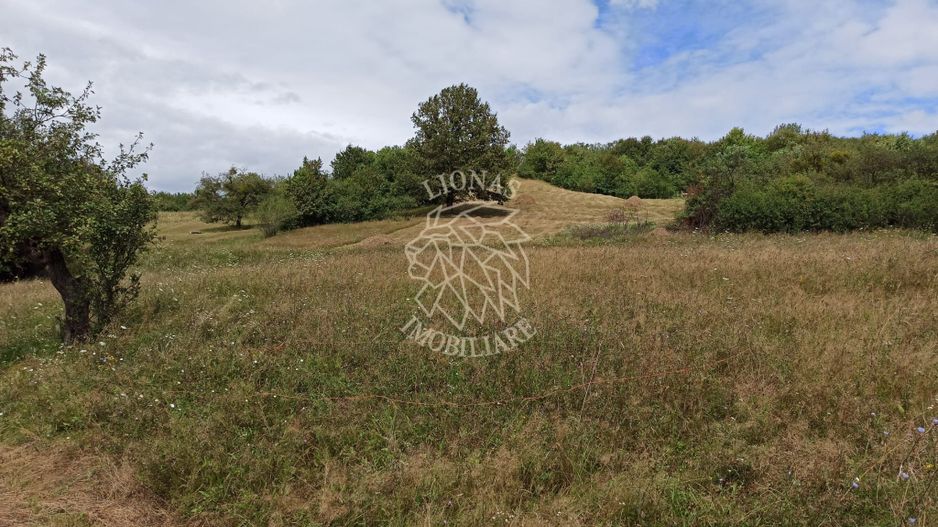 Teren 5200 mp-ideal cabane, case de vacante, agricultura-Livezile - Poză 1