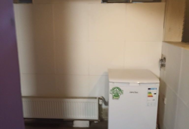 Apartament in vila Stirbei Voda/Cismigiu - Poză 12