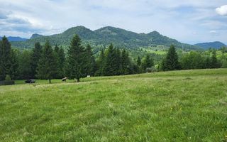 Teren intravilan de vanzare - Colibita - Poză 3