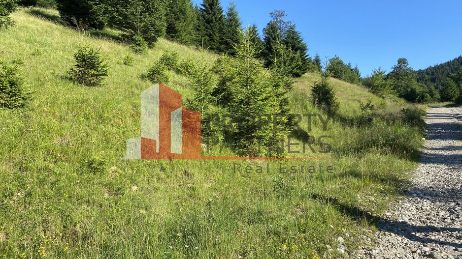 Teren 14400 mp la iesire din Rasnov inspre Pârâul Rece-Trei Brazi - Poză 14