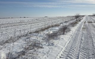 Teren ideal investitie 2 loturi  Str Calugareni-Lapusneanu - Poză 4