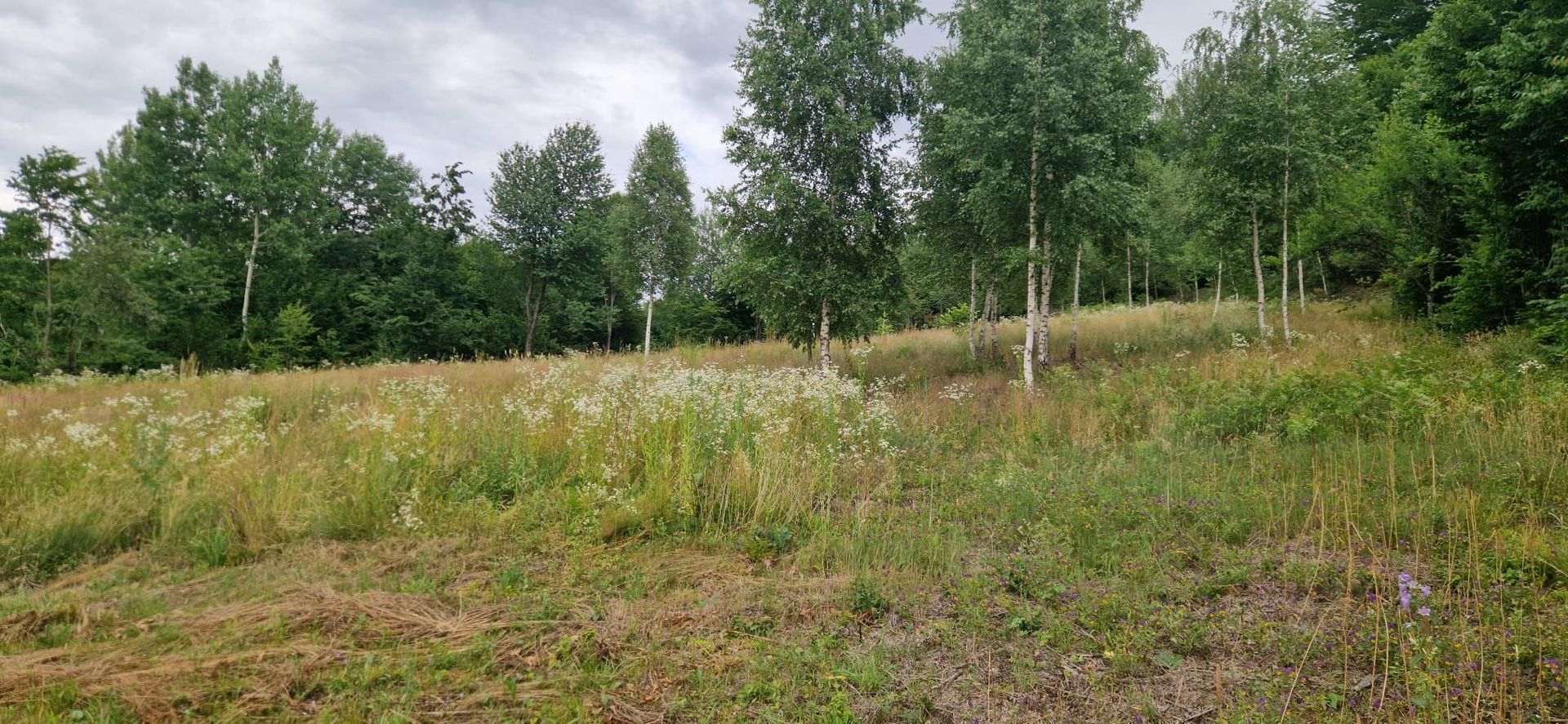Casa si teren potential turistic Slatioara-Suceava - Poză 10