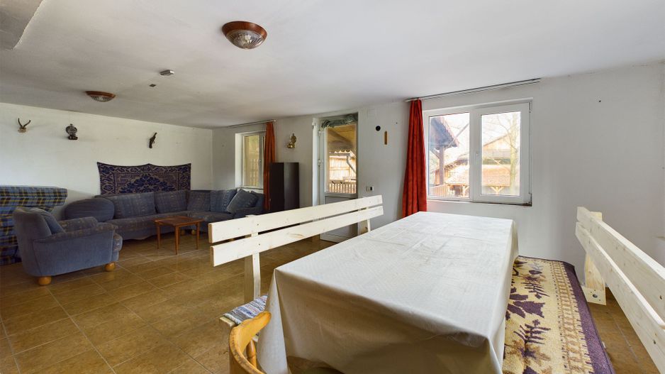 Casă de vacanța în Rădești jud.Arad - Poză 13