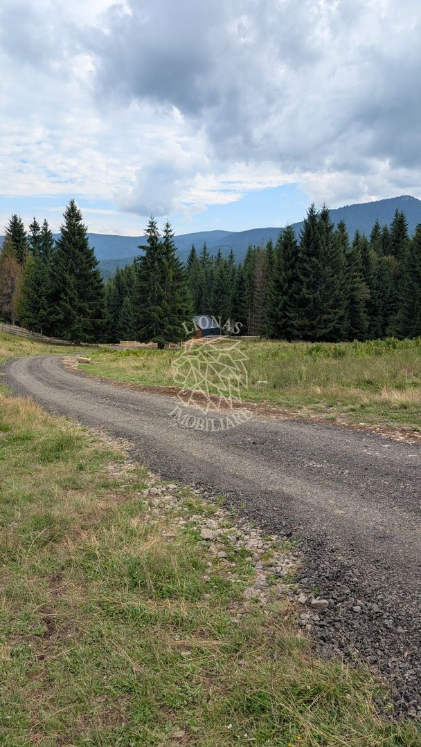 OFERTA! Teren intravilan 700 mp cu utilitati-ideal cabana-Colibita - Poză 3