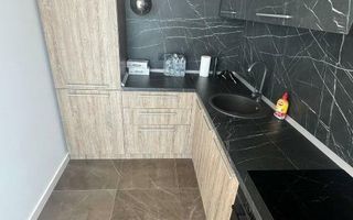 2 Cam One Herastrau Towers - Poză 12