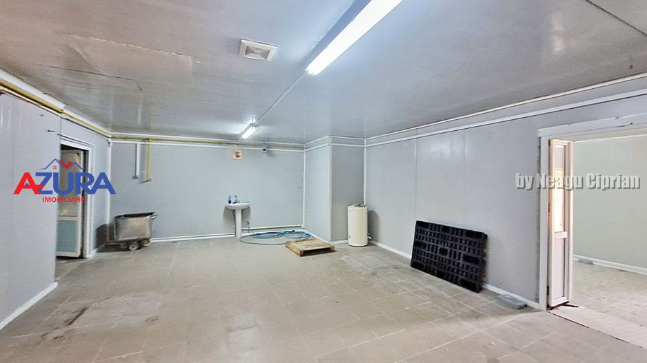 AZURA Imobiliare - Hala Fabrica de procesare Carne - Poză 14
