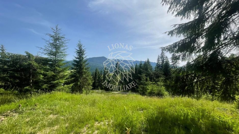 Teren intravilan 1074 mp cu utilitati-ideal pensiune, cabane-Colibita - Poză 2