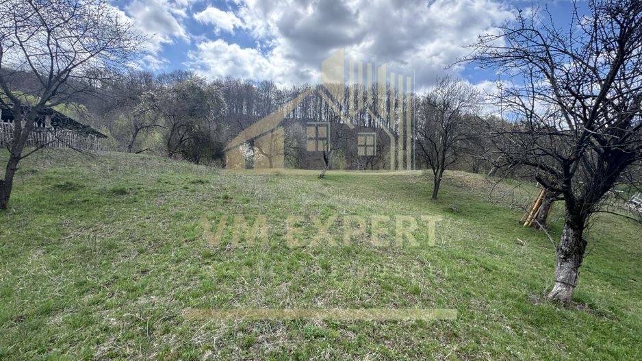 TEREN INTRAVILAN 4365 MP POENARII DE MUȘCEL  JUDEȚUL ARGES - Poză 12