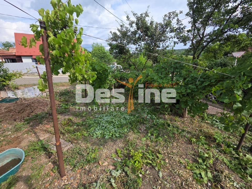 CASĂ DE VÂNZARE IN MIRSID - Poză 6